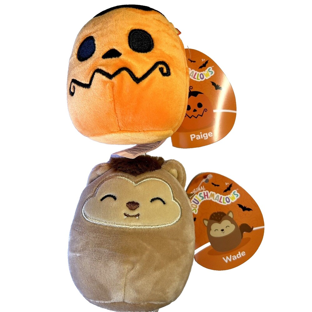 Squishmallows Lot of 2 Mystery 4"-Wade + Paige (NC)